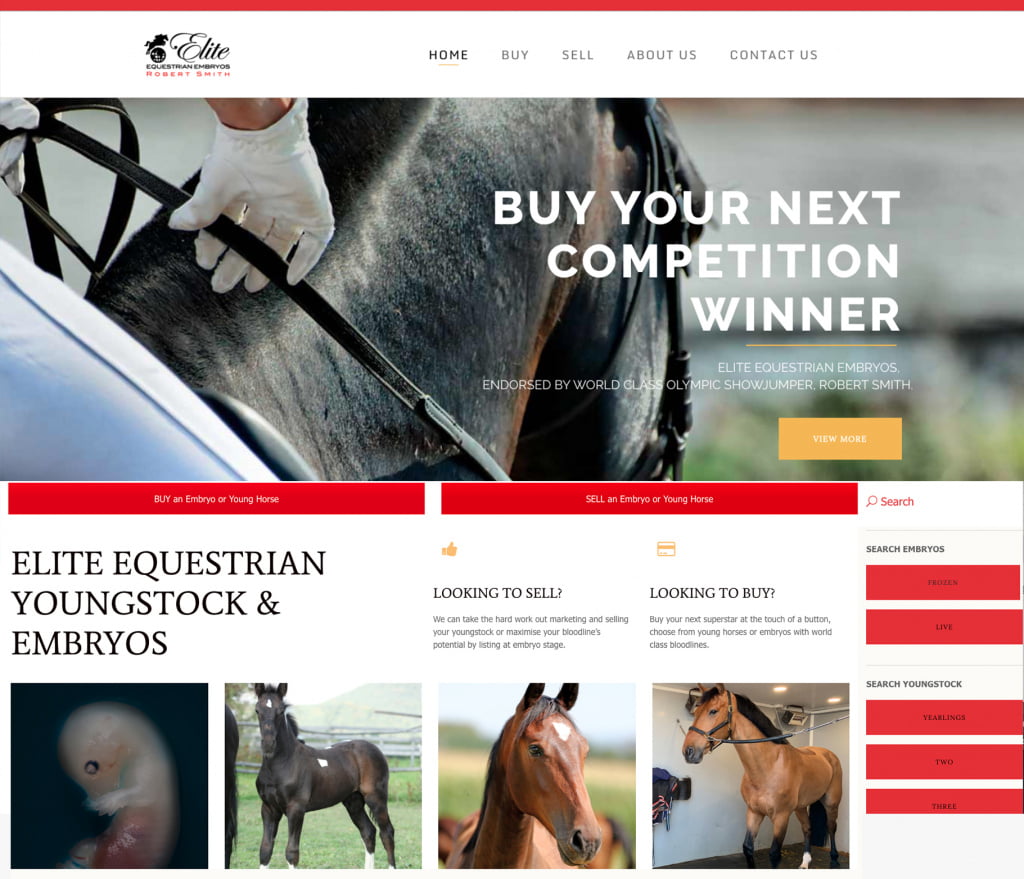 Elite Equestrian Embryos website