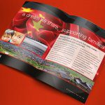 dreams Investor Brochure